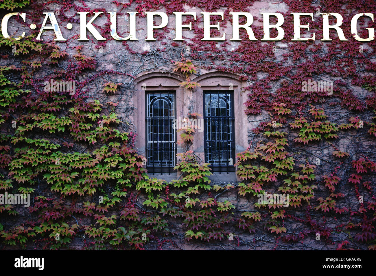 Firma C.A. Kupferberg Mainz Stockfoto
