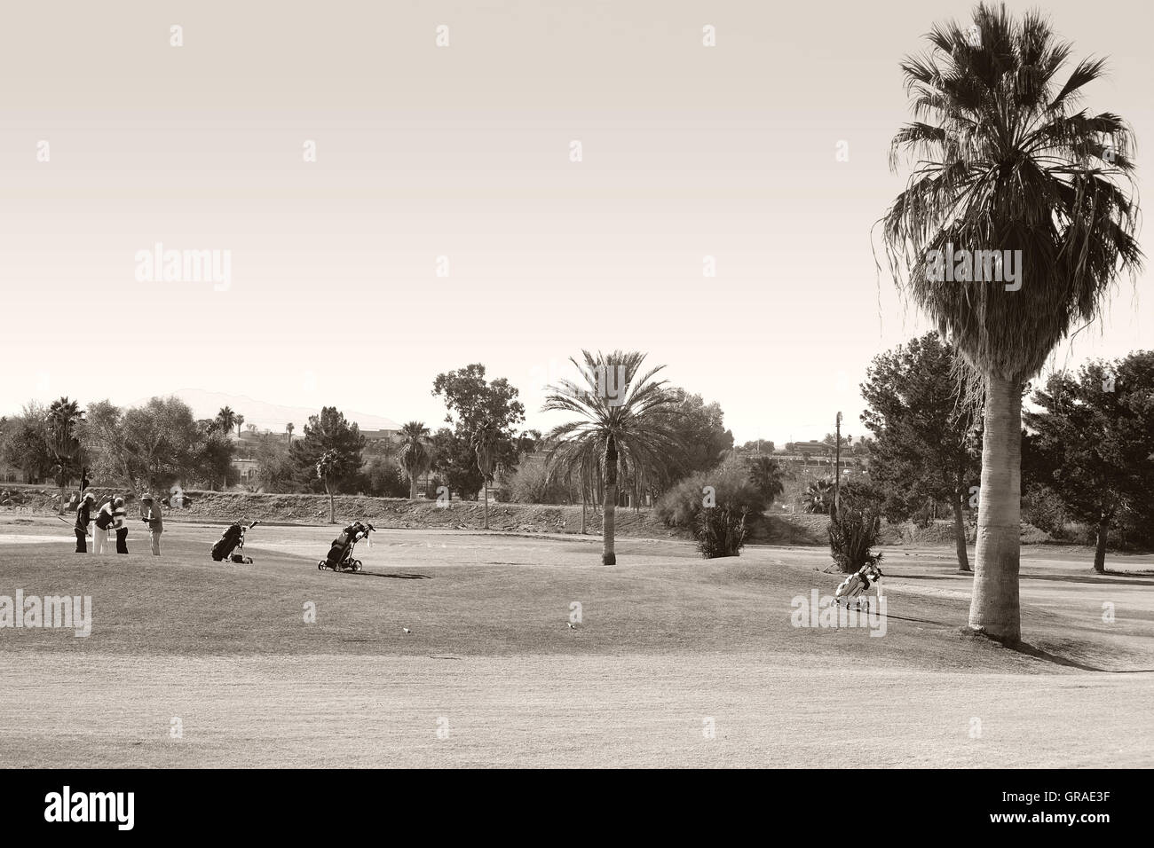 Rentner spielen Golf Stockfoto