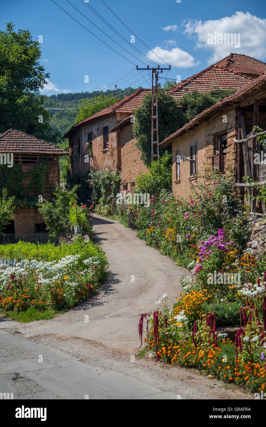 Nahaufnahme des alten Dorfes von Serbien Stockfoto