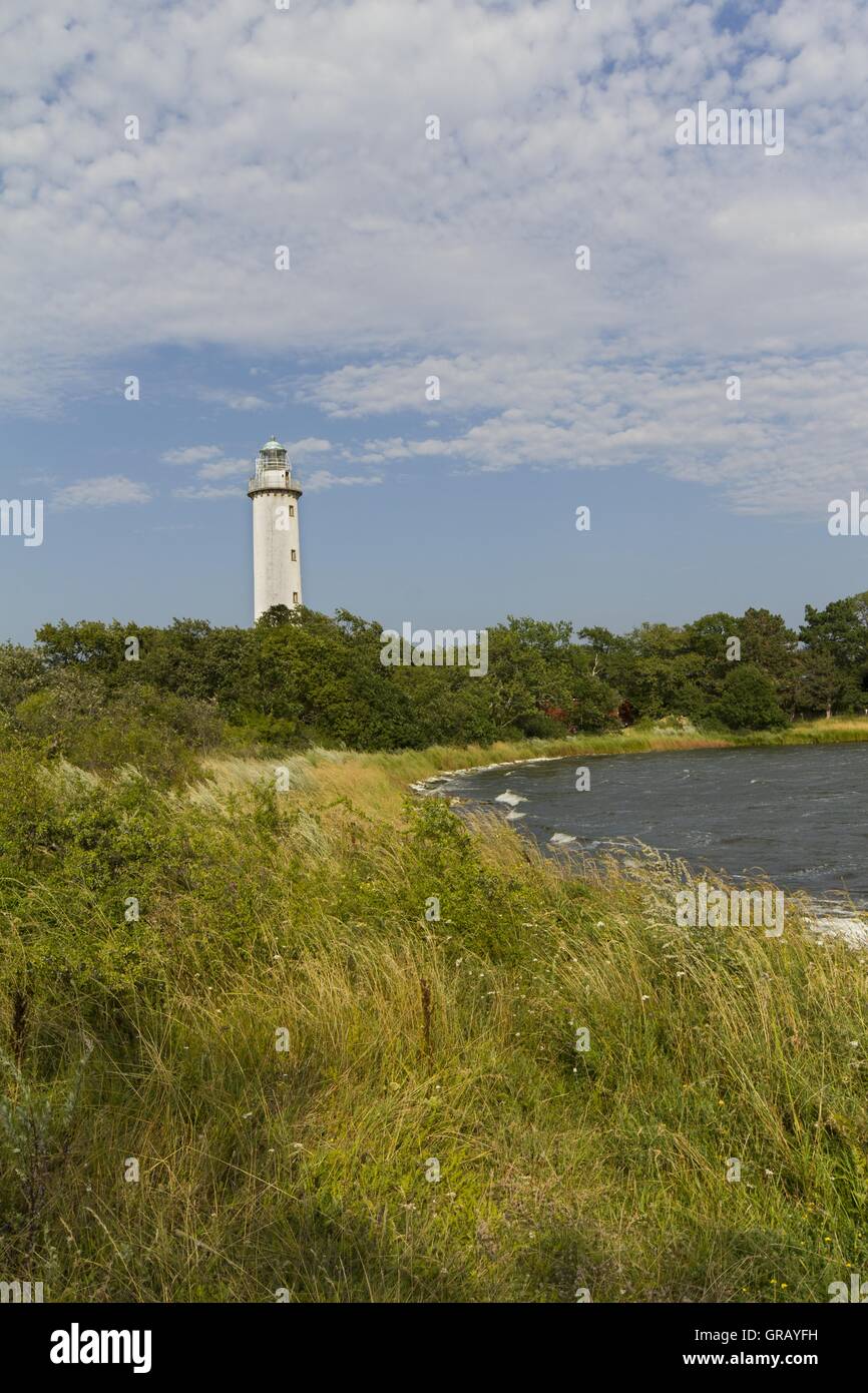 Der Leuchtturm Lange Erik an der Nordspitze von Öland, Ostküste, Schweden, am Naturschutzgebiet Trollskogen In Böda Stockfoto