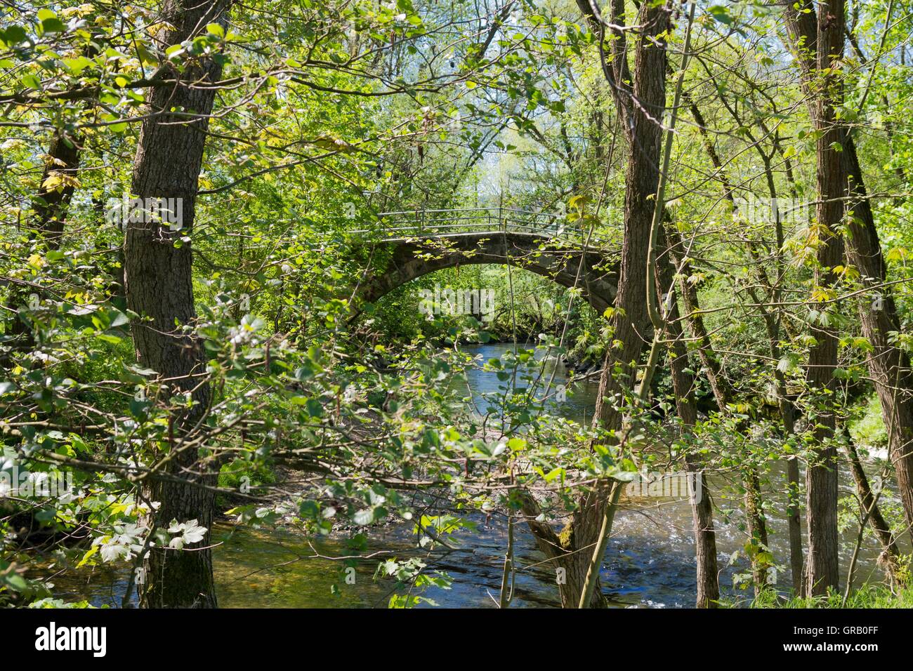 Restaurierte historische Bogenbrücke aus dem 17. Jahrhundert zu Jahresbeginn die Baille-Maille-Lindenallee Stockfoto