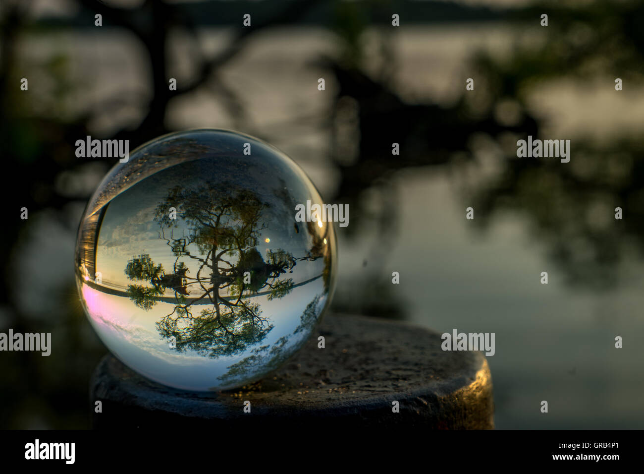 Glaskugel Stockfoto