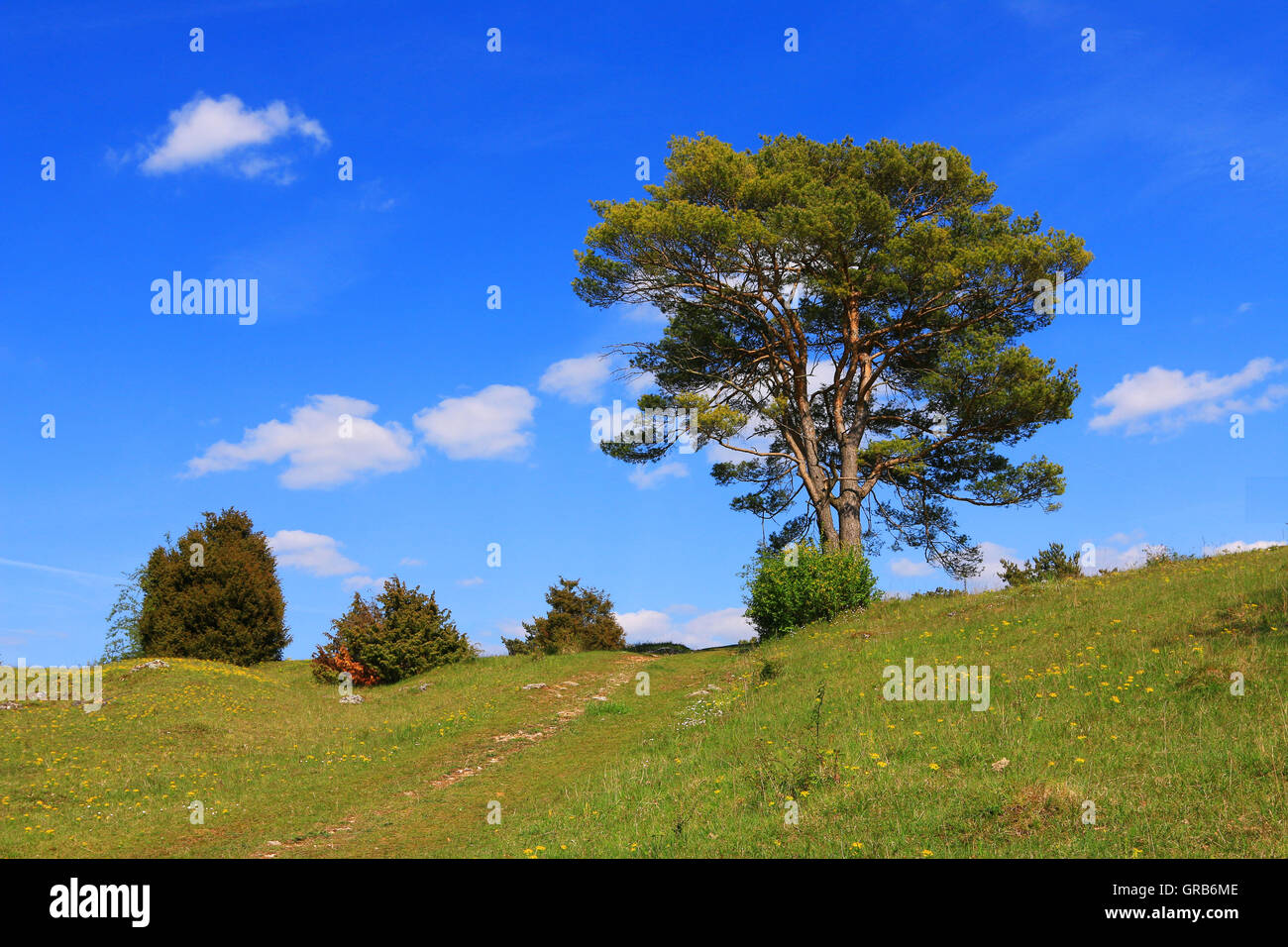 Schwäbische alb acker Fotos und Bildmaterial in hoher Auflösung Alamy