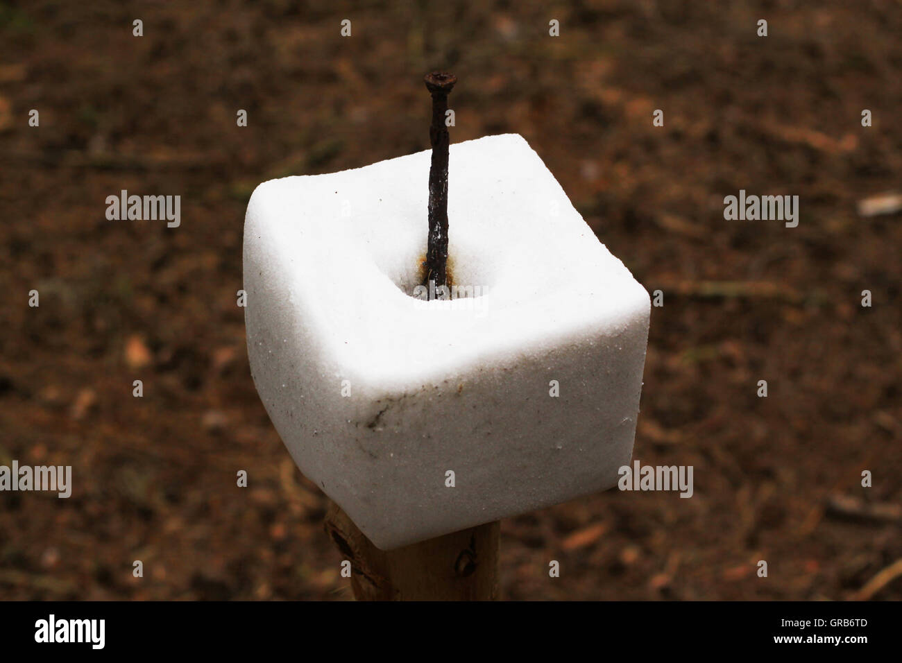 Leck Stein Stockfoto