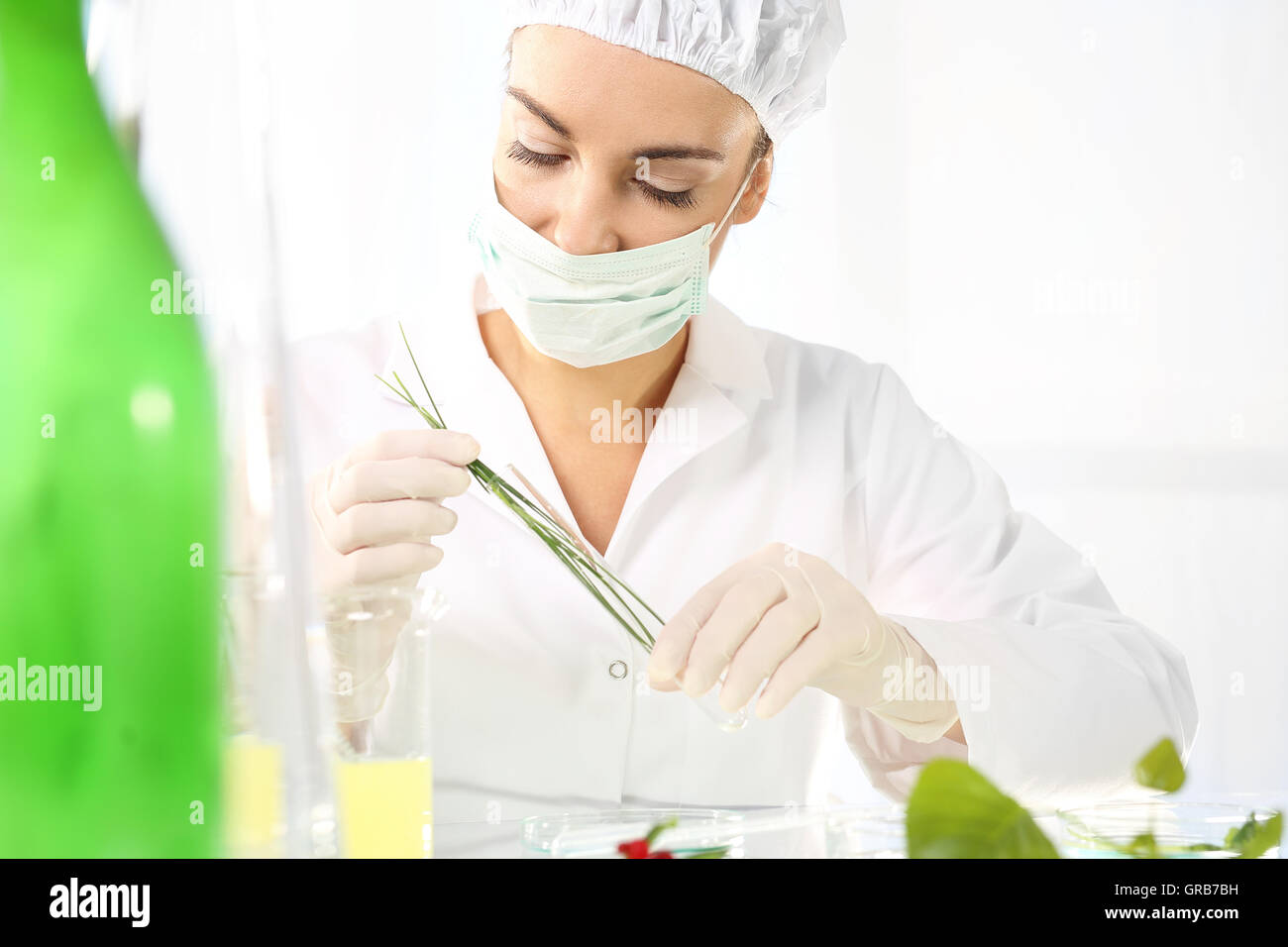 Bio- und Gentechnologie. Stockfoto