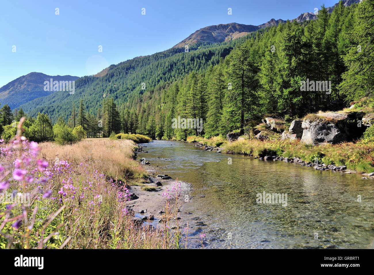 Das Tal und den Fluss Clarée, Französische Alpen, Frankreich Stockfoto