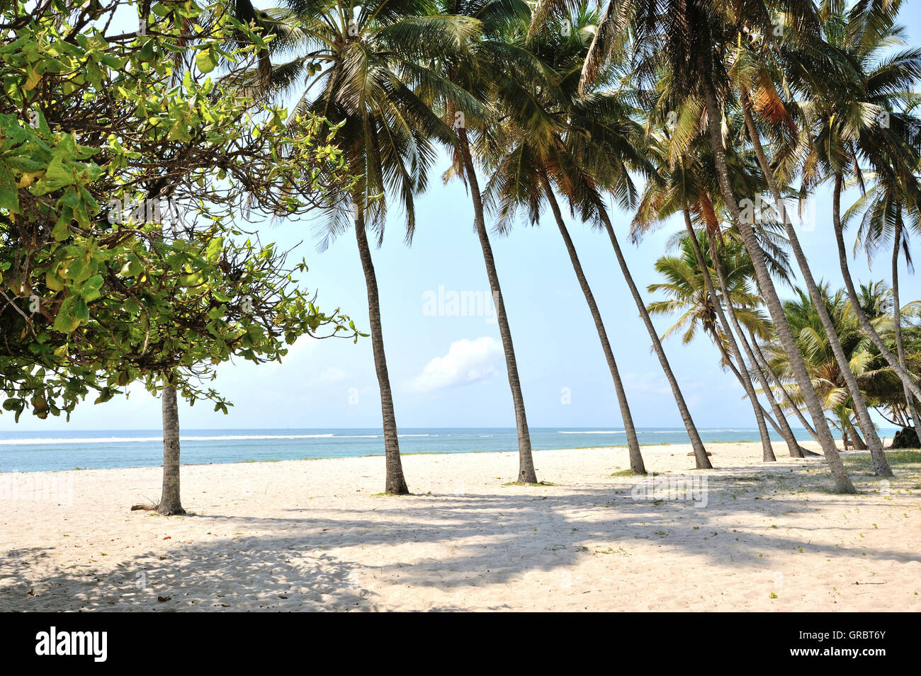 Verträumten Strand Palmen gesäumten Stockfoto