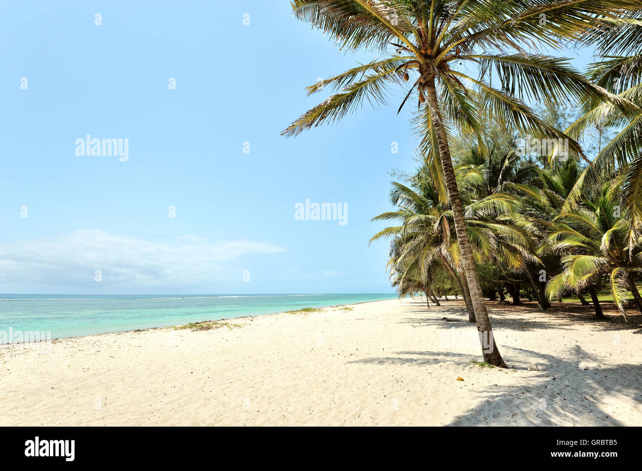 Kokosnuss-Palmen und wunderschöne blaue Meer entspannen und träumen Stockfoto