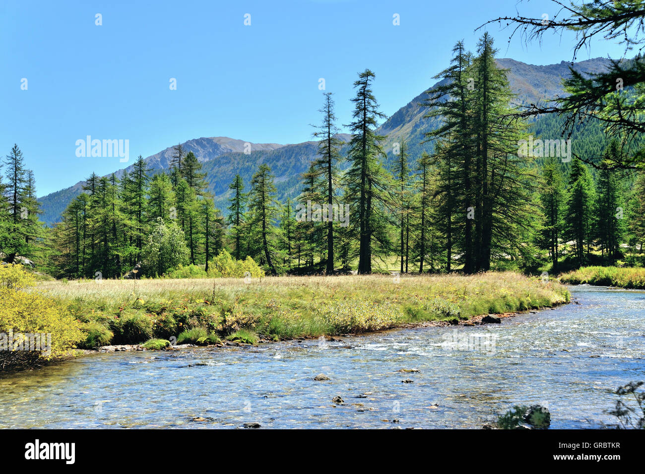 Gebirgsfluss Clarée und unberührte Natur, Französische Alpen, Frankreich Stockfoto