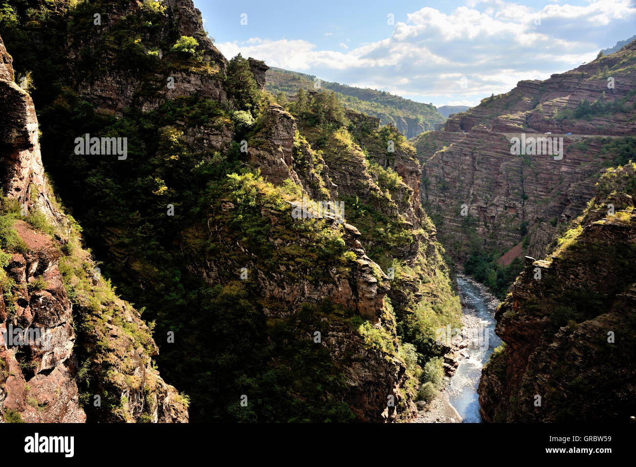 Gorges De Daluis und seinen Fluss, Tal der wilden Seealpen, Französische Alpen, Frankreich Stockfoto