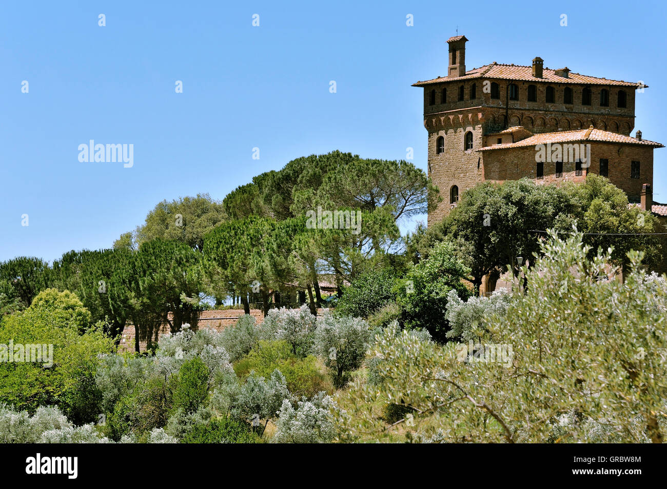 Italienisch-Palast Massaini, Bauernhof-Gebäude in der Nähe von Pienza, Toskana, Italien Stockfoto
