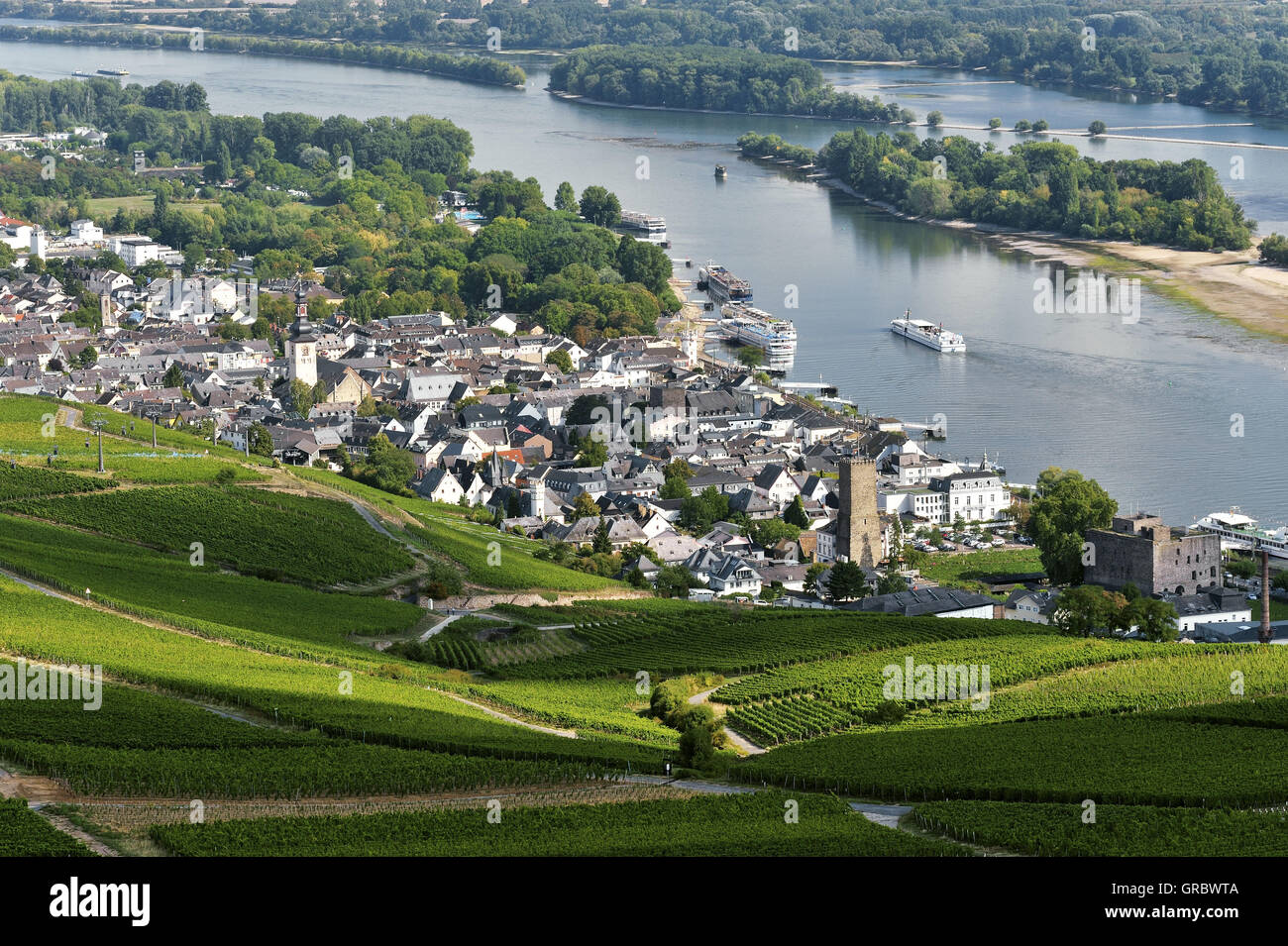 Rüdesheim Am Rhein und Weinberge, Oberes Mittelrheintal, Deutschland Stockfoto