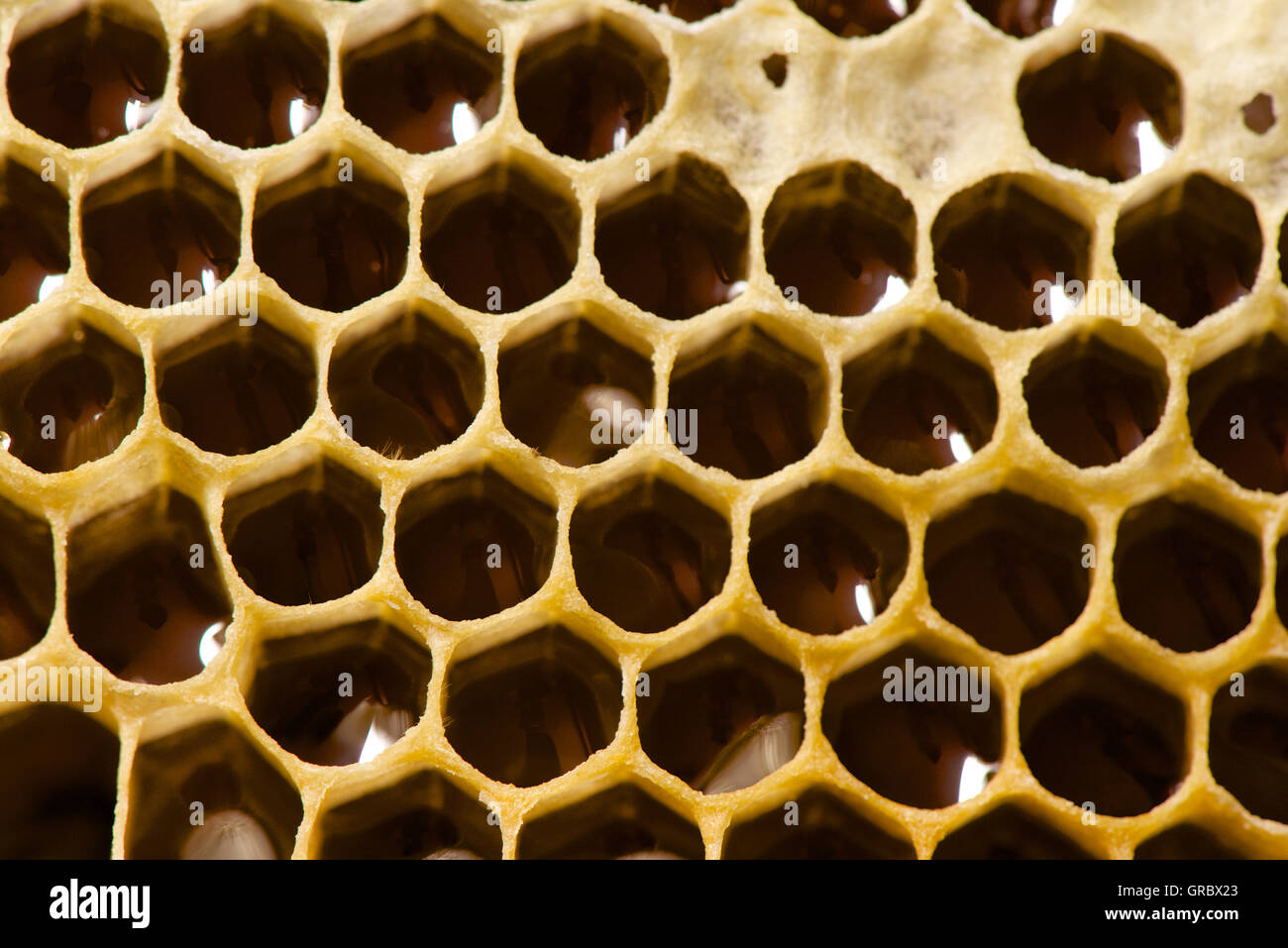 Gefüllte Wabenzellen, teilweise begrenzt Stockfoto