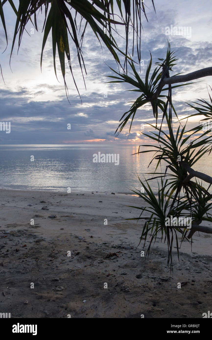 Abenddämmerung am Meer, Sandstrand, Wolken und klarer Himmel, Ruhe Meer, tropische Vegetation. Selayar, Süd-Sulawesi, Indonesien Stockfoto