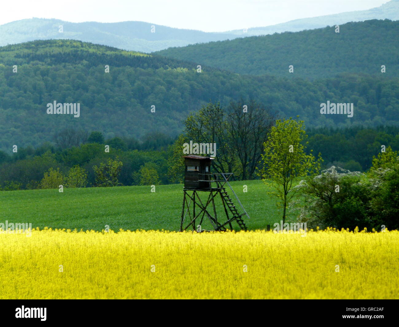 Hügelige Landschaft im Frühling Stockfoto