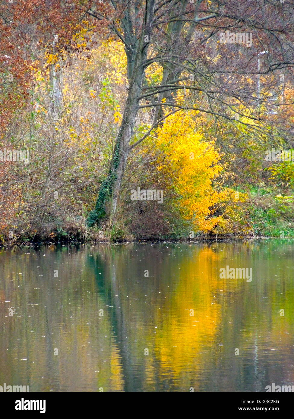 Impressionistische Fotografie die Farben des Herbstes am See Stockfoto