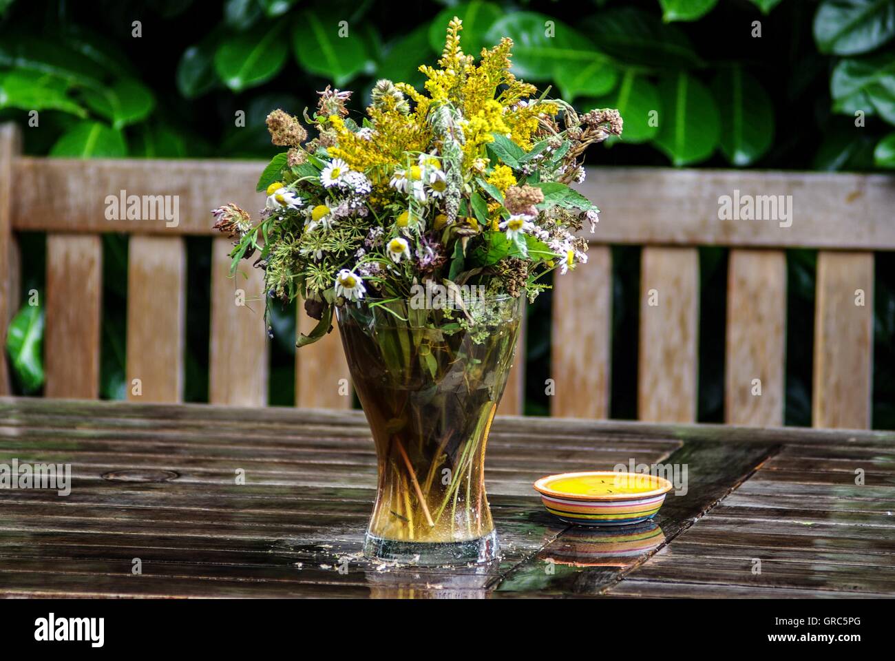 Haus, Garten, Garten-Dekoration, Regen, Tabelle, Bouquet Stockfoto