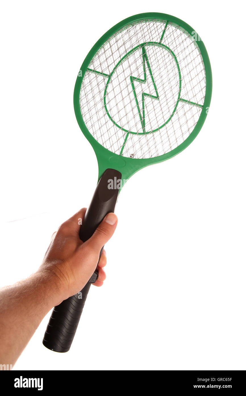 Elektrischen Schlages fliegen hocken Studio Ausschnitt Stockfoto Elektrischen Schlages fliegen hocken Studio Ausschnitt Stockfoto