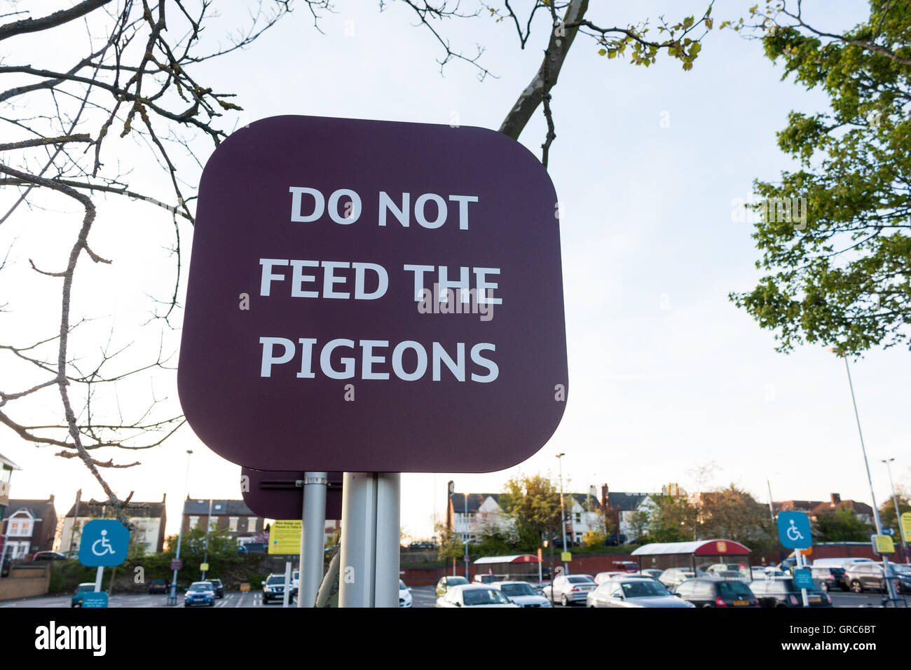 "Nicht die Tauben füttern" Zeichen in einem Parkhaus, UK. Stockfoto