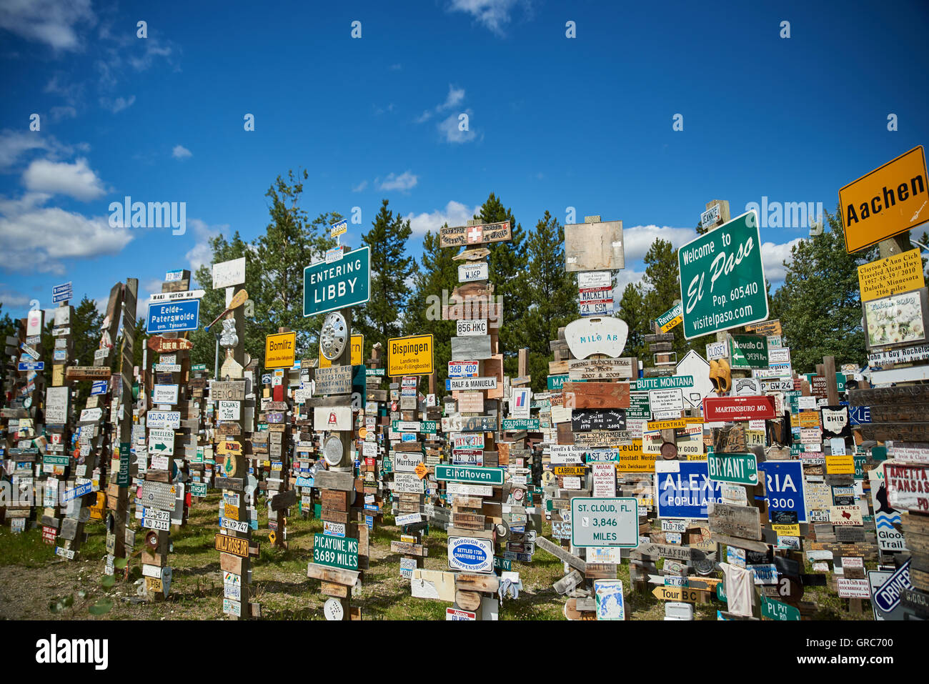 Sign Post Forest Stockfoto