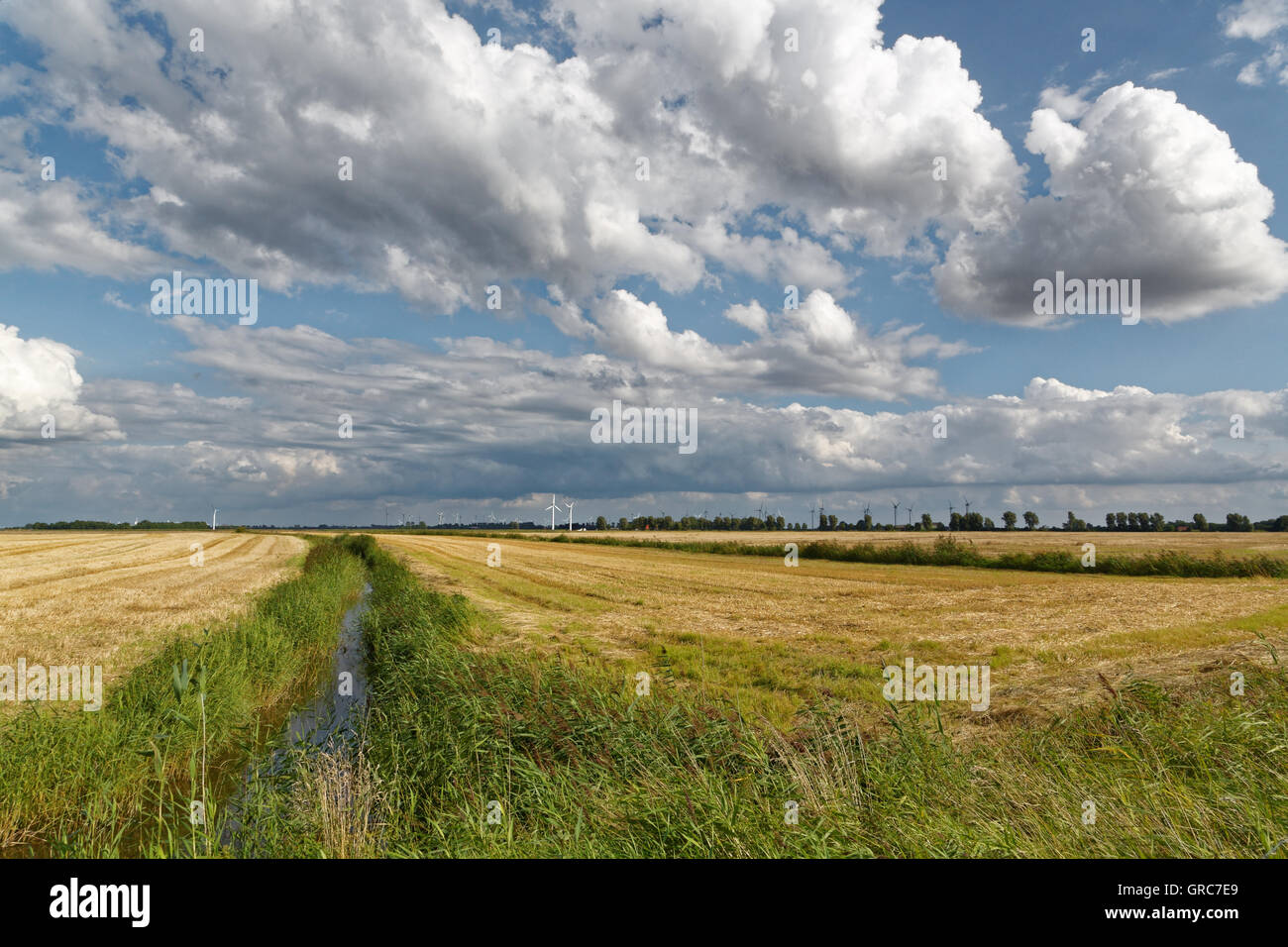 Geerntete Felder Stockfoto