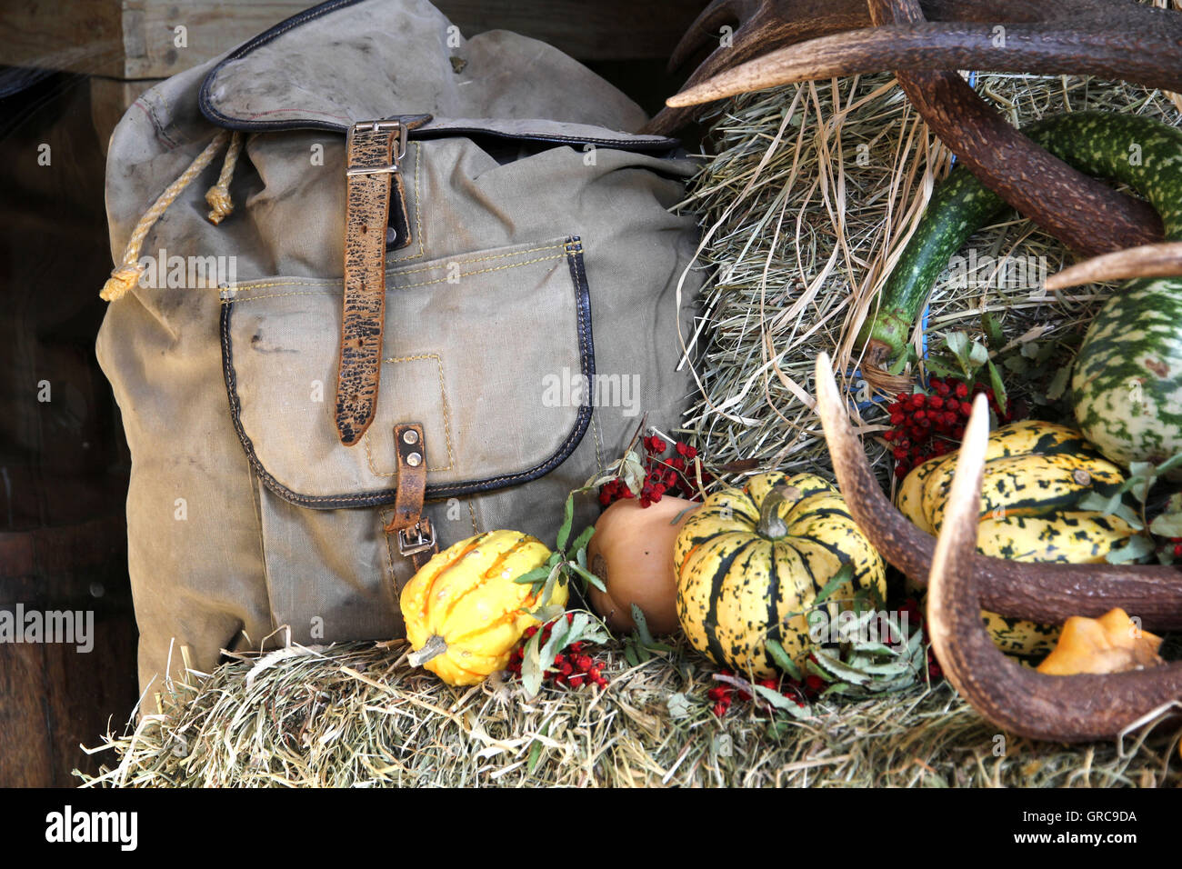 Herbst Dekoration Stockfoto Herbst Dekoration Stockfoto