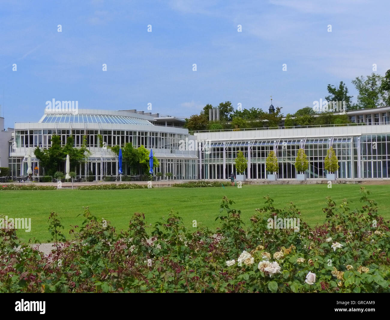 Rosarium mit Kongress-Haus, Coburg, Upper Franconia, Bayern, Deutschland, Europa Stockfoto