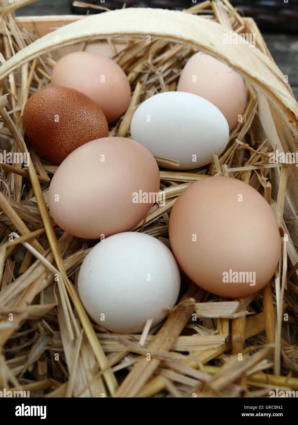 Weißen und braunen Eiern In einem Korb Stockfoto