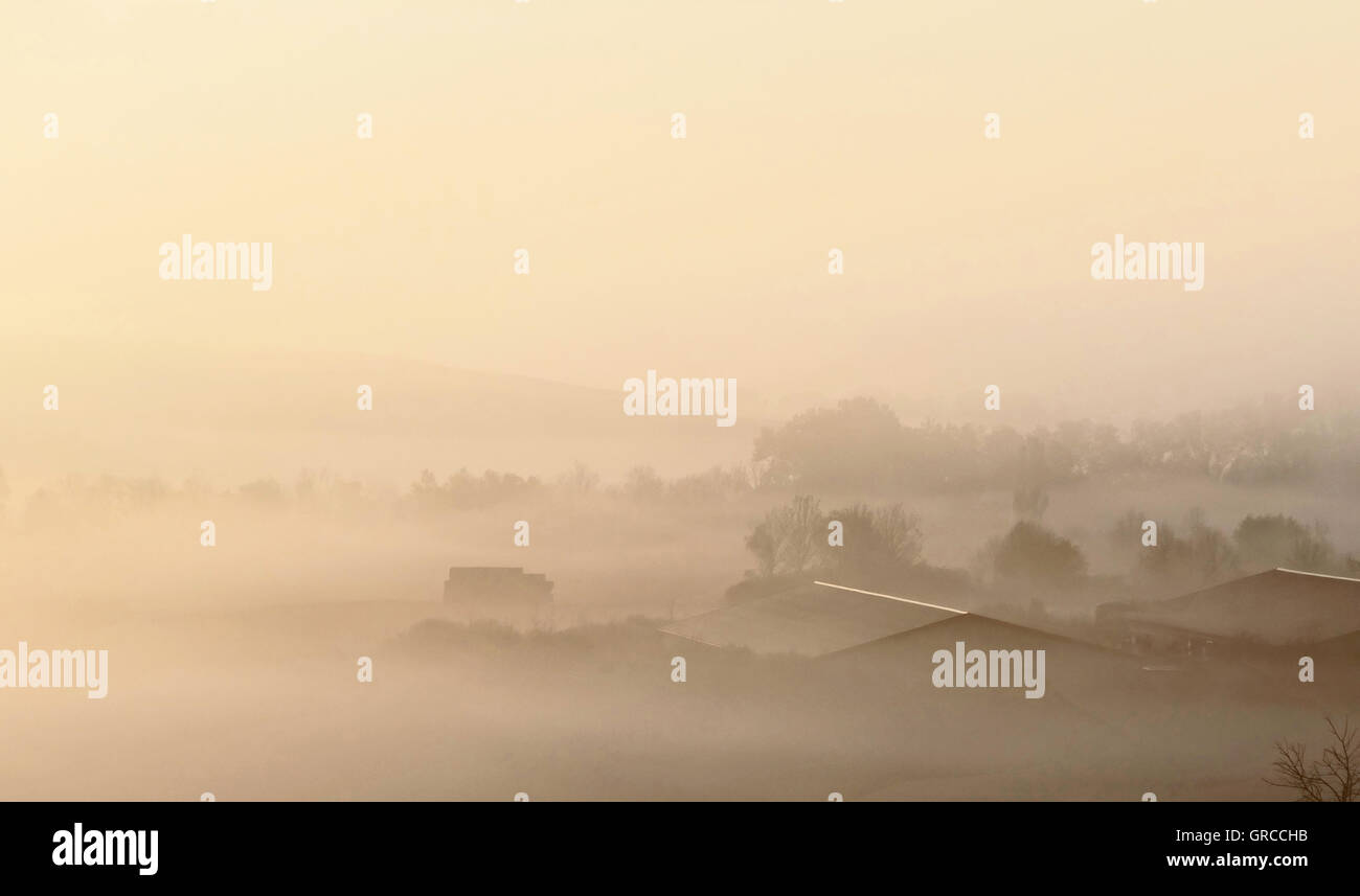 Morgen Dunst über die Weinregion Rheinhessen Stockfoto