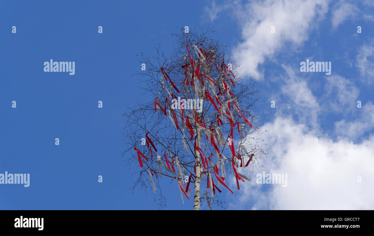 Maibaum mit roten Bändern unter blauen Himmel getrübt Stockfoto