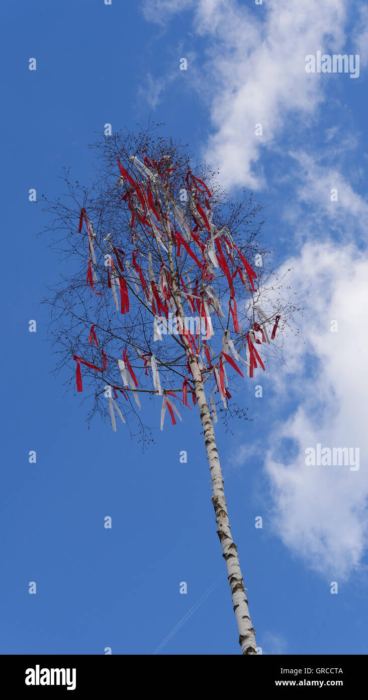 Maibaum mit roten Bändern unter blauen Himmel getrübt Stockfoto