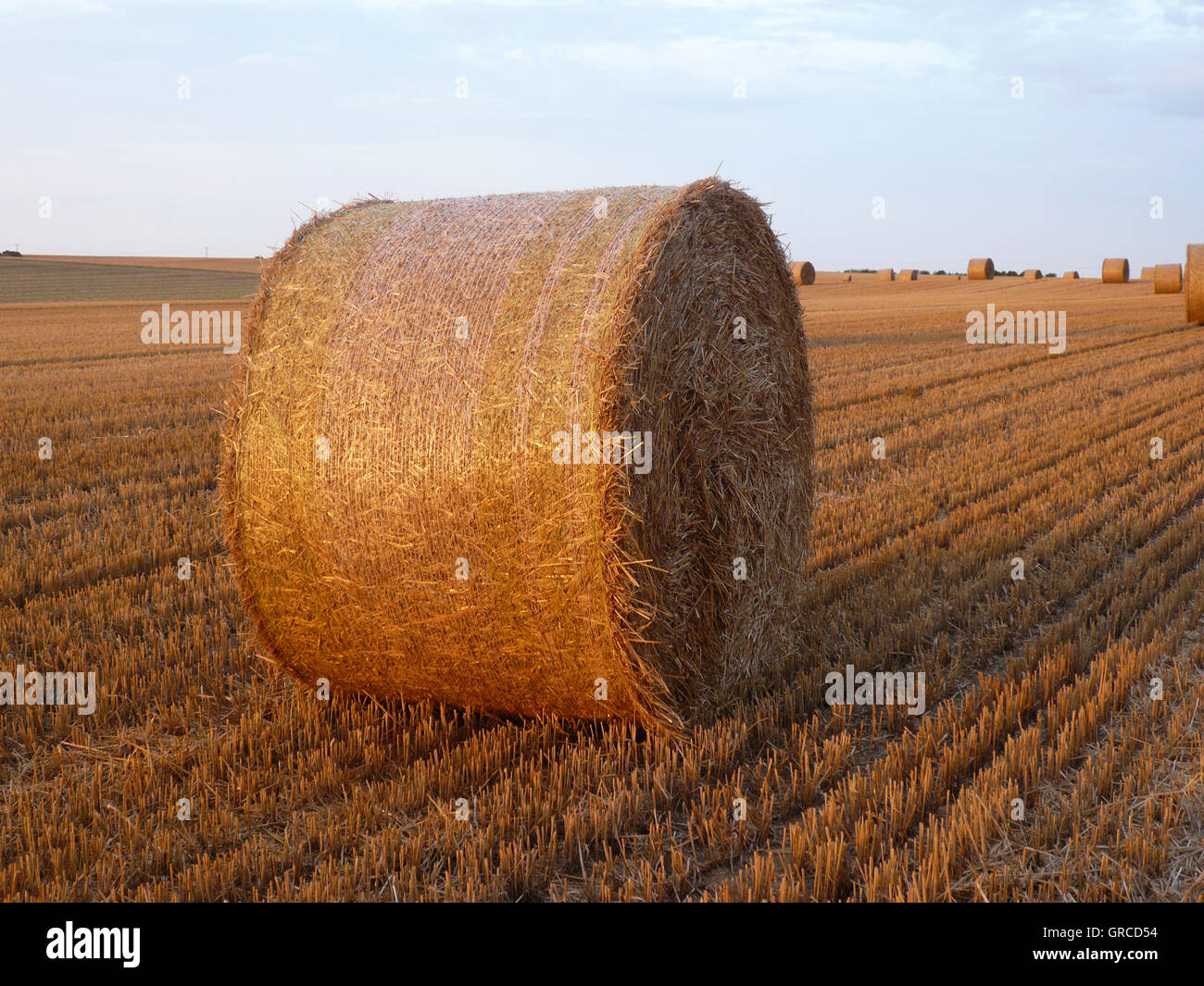 Strohballen auf abgeernteten Maisfeld Stockfoto