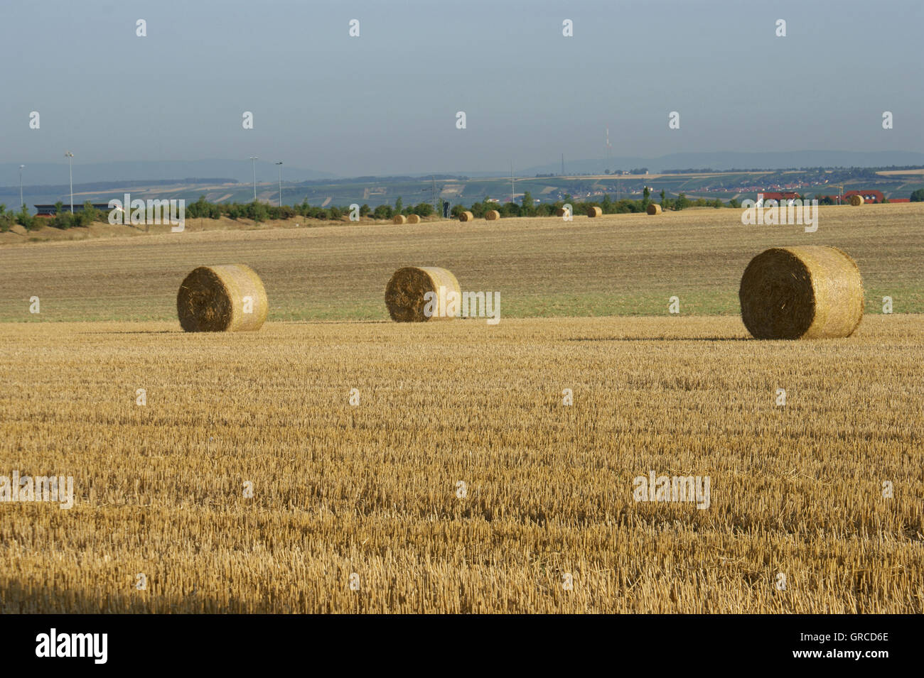 Strohballen auf abgeernteten Maisfeld Stockfoto