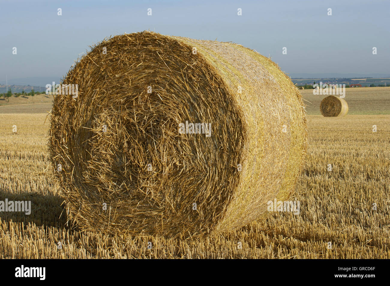 Strohballen auf abgeernteten Maisfeld Stockfoto