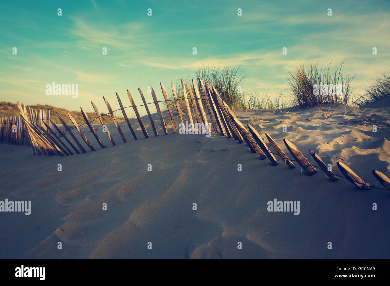 Dünen an der Nordsee Stockfoto