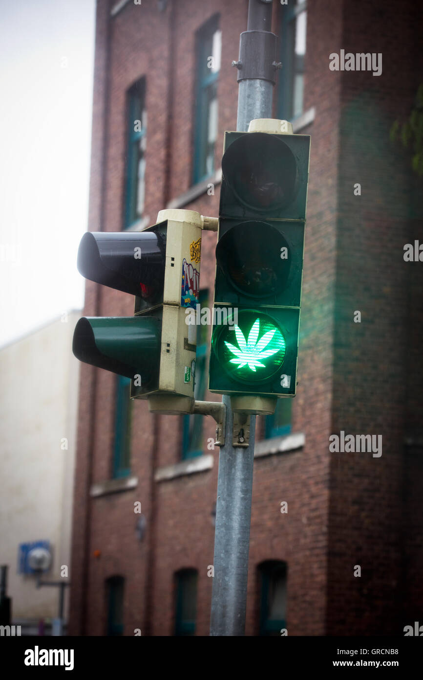 Leuchtendes Marihuanablatt auf eine grüne Ampel Stockfoto