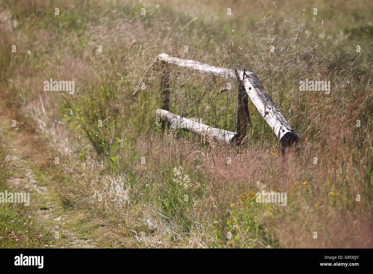 Holzgeländer auf der Weide, am Straßenrand, sieht aus wie ein Huftier Stockfoto