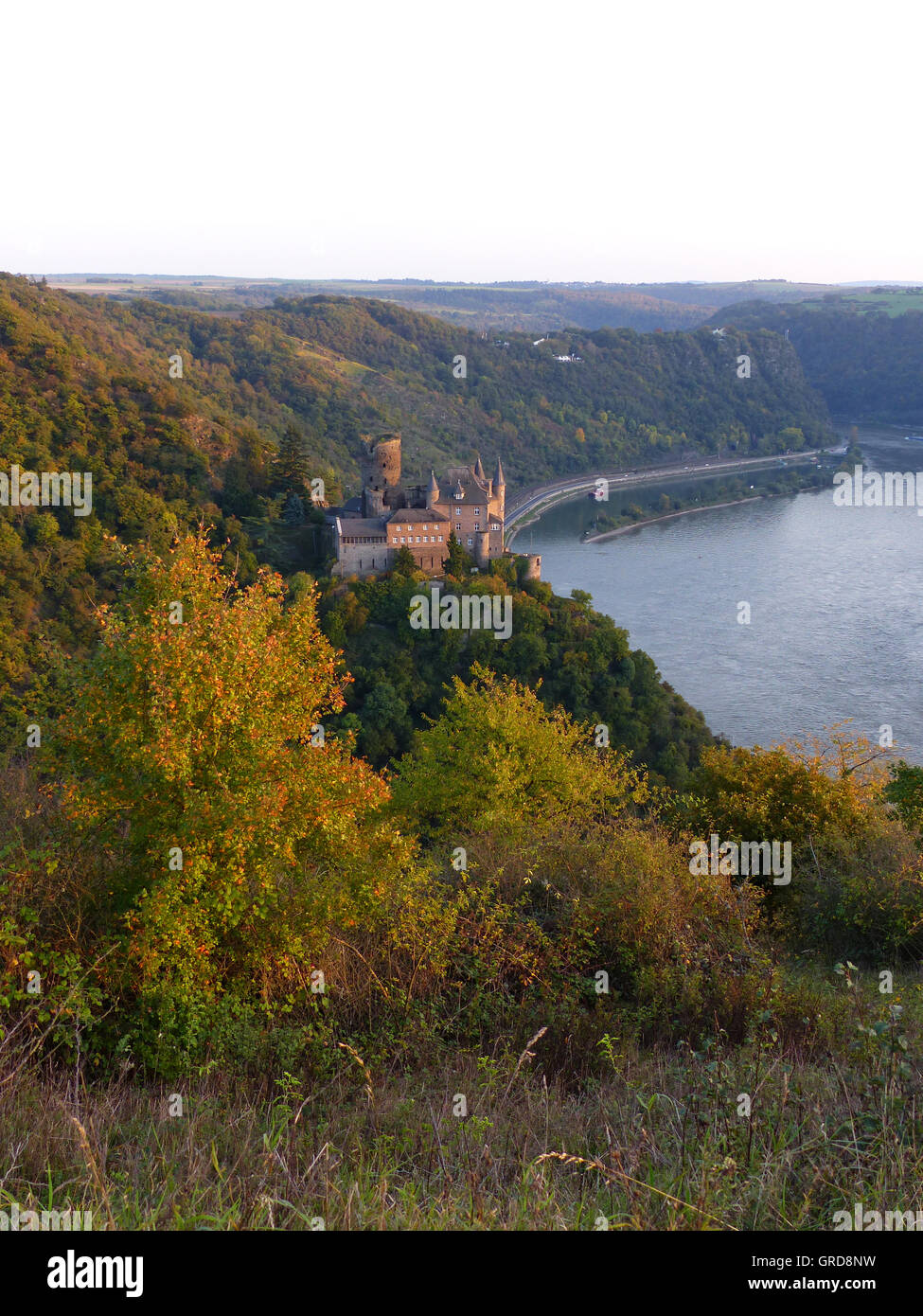 Burg Katz am Mittelrhein, hoch über St. Goarshausen und Loreley im Hintergrund Stockfoto
