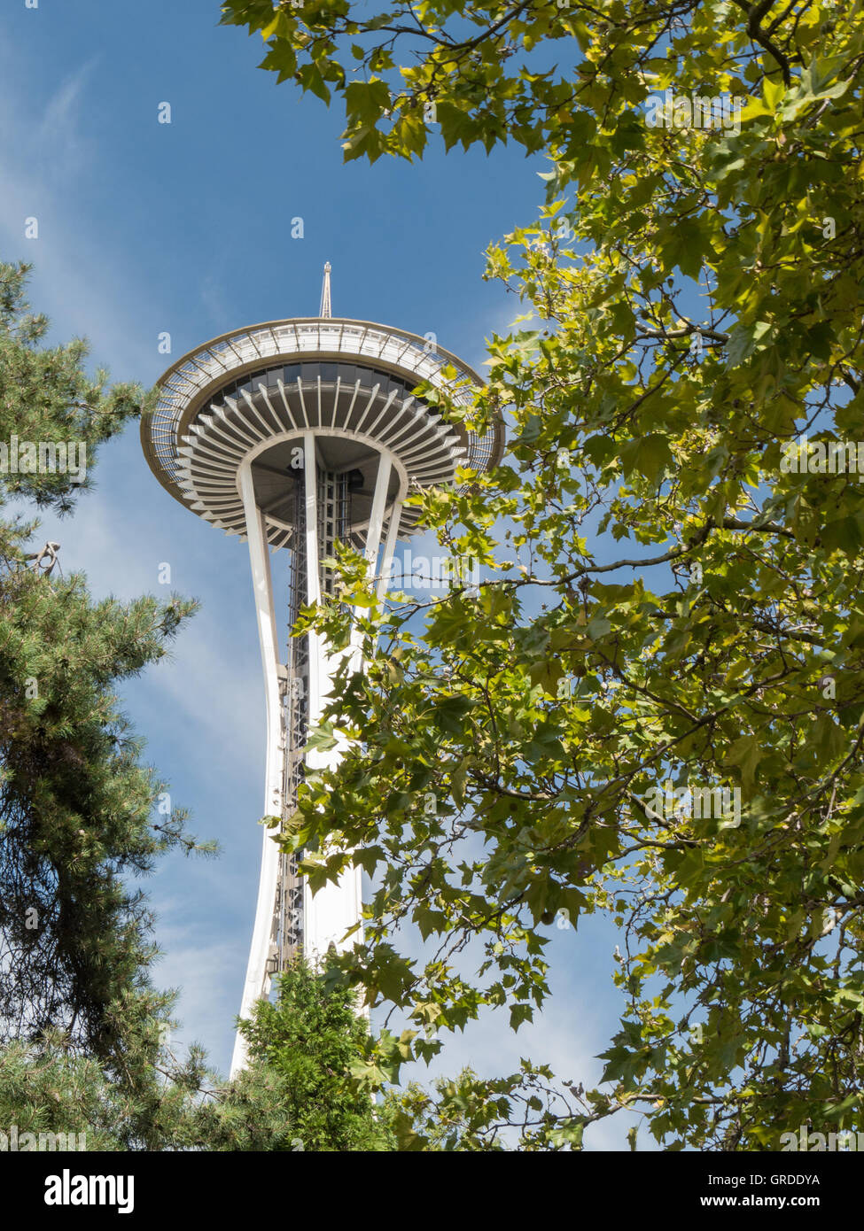 Seattle Space Needle in strahlendem weiß an einem sonnigen Sommertag mit Bäumen im Rahmen Stockfoto