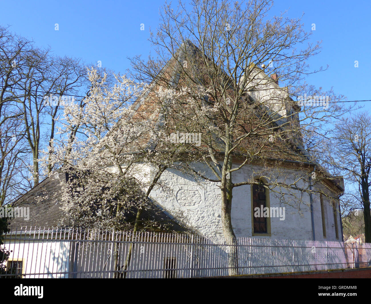 Katholische St.-Stephani-Kirche aus dem 18. Jahrhundert, Spiesheim In Rhinehesse Stockfoto