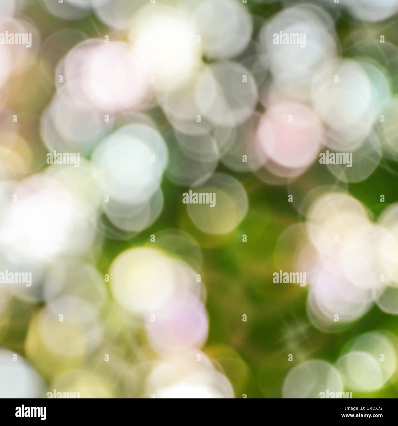 Natürlichen Bokeh Unschärfe mit Pastell Ton Licht. Abstrakte Natur Hintergrund. Stockfoto