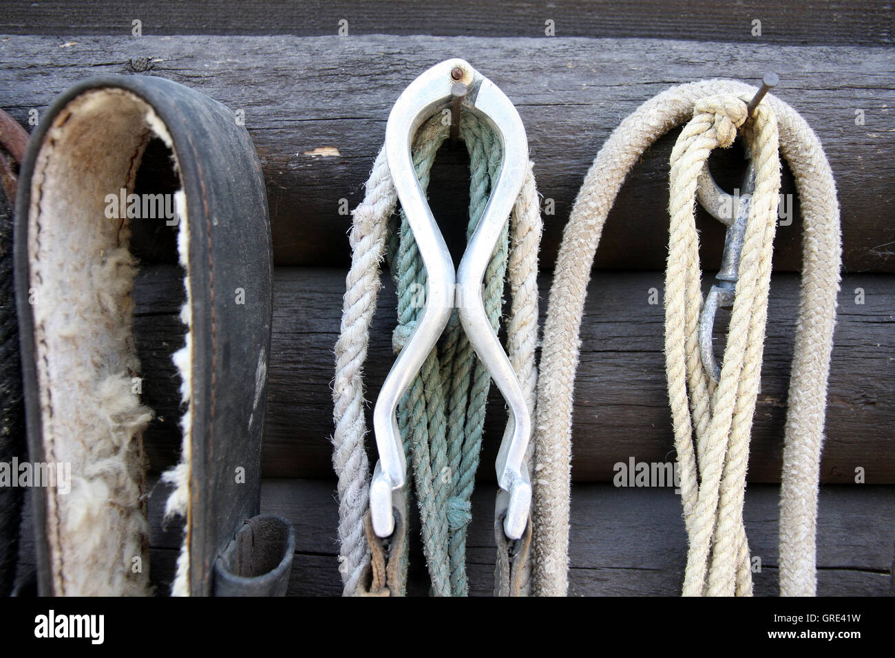 Details der Vielfalt verwendet Pferd Zügel Stockfoto