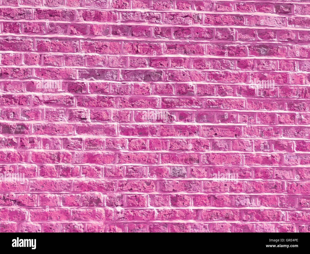 Wand-rosa, Full-Frame als Hintergrund Motiv Stockfoto