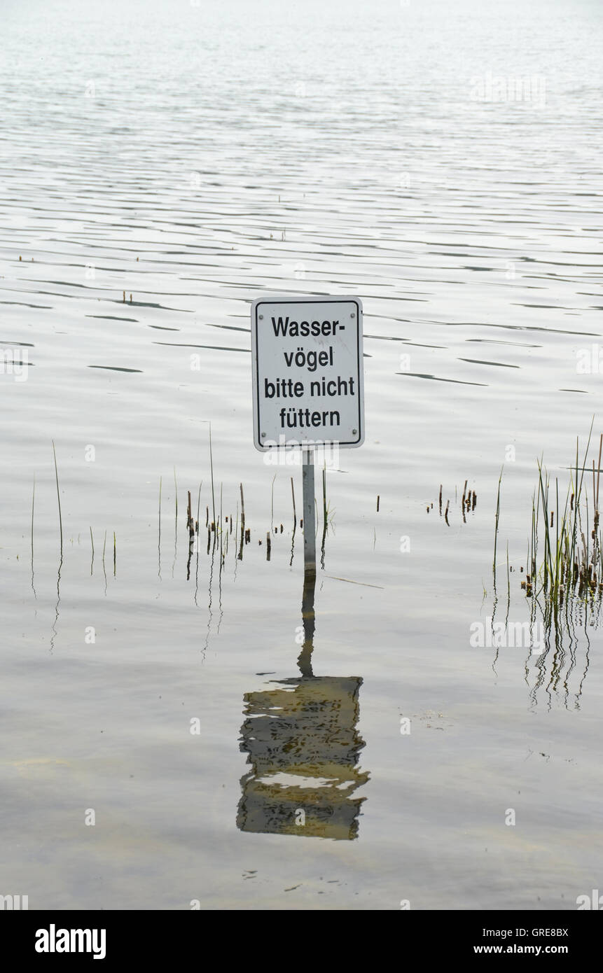 Verbotszeichen In Wasser, Verfütterungsverbot, bitte nicht füttern der Wasservögel Stockfoto