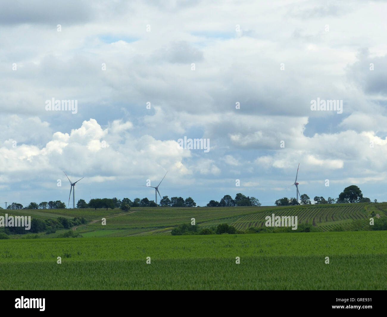 Gewitterwolken, Regenwolken über der Landschaft bei Spiesheim In Alzey County, Rhinehesse, niedrige Elvira Ende Mai 2016 Stockfoto