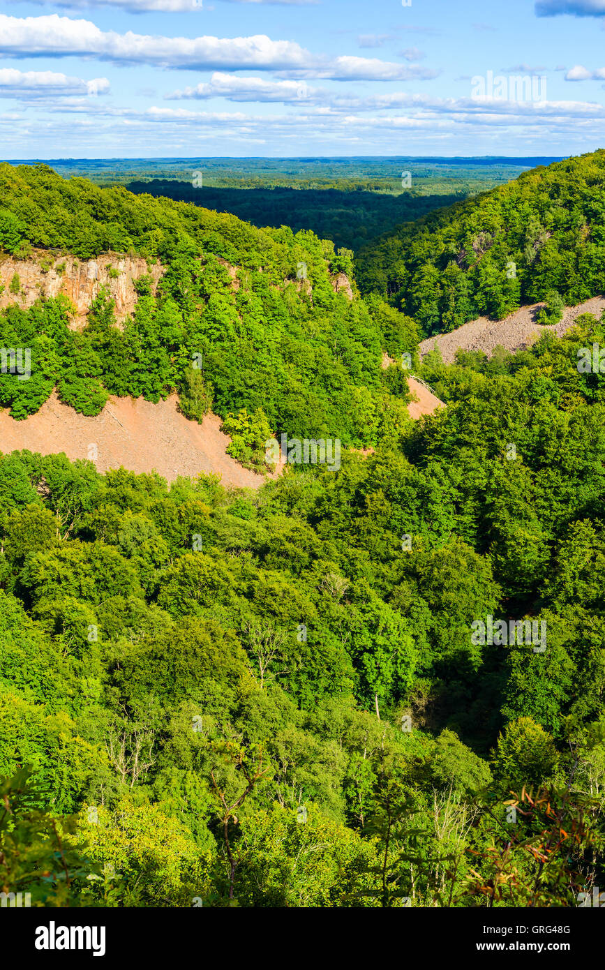 Dichten Hang Buchenwald am Soderasen Nationalpark in Schweden. Es ist Spätsommer oder Frühherbst in den Canyon. Felsbrocken und Stockfoto