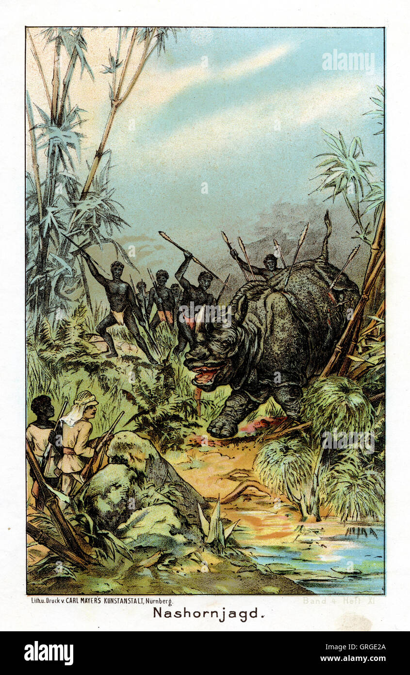 Nashorn-Jagd in Afrika Stockfoto