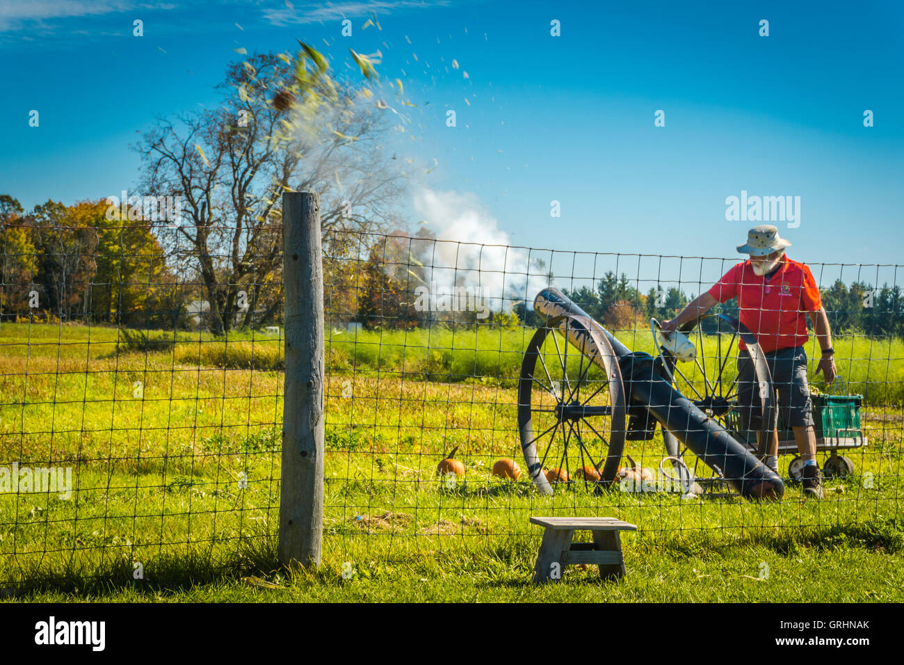 Feuert einen Kürbis Kanon während ein Kürbis Erntefest Stockfoto