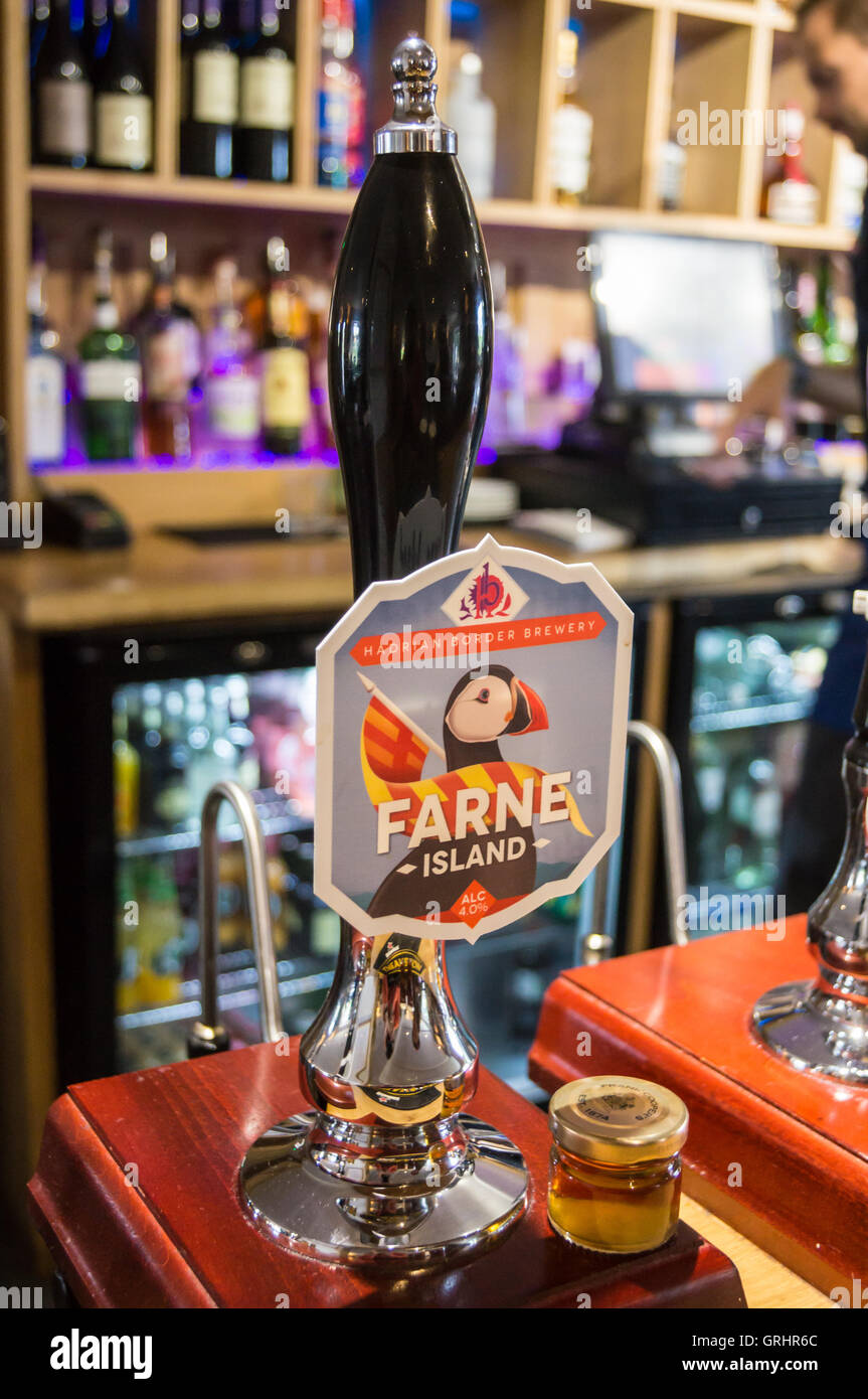 Pump Clip Farne Insel Bier durch Hadrian Grenze Brauerei zweimal gebraut Inn, einmal gebraut, Cumbria, England Stockfoto