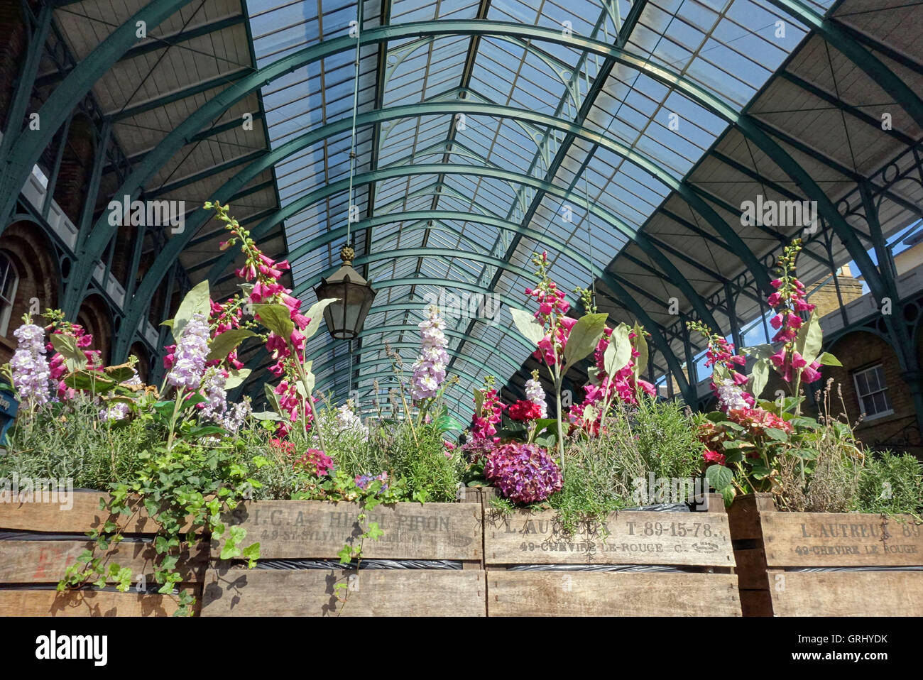 Blütenpracht in alten Covent Garden Market, London Stockfoto